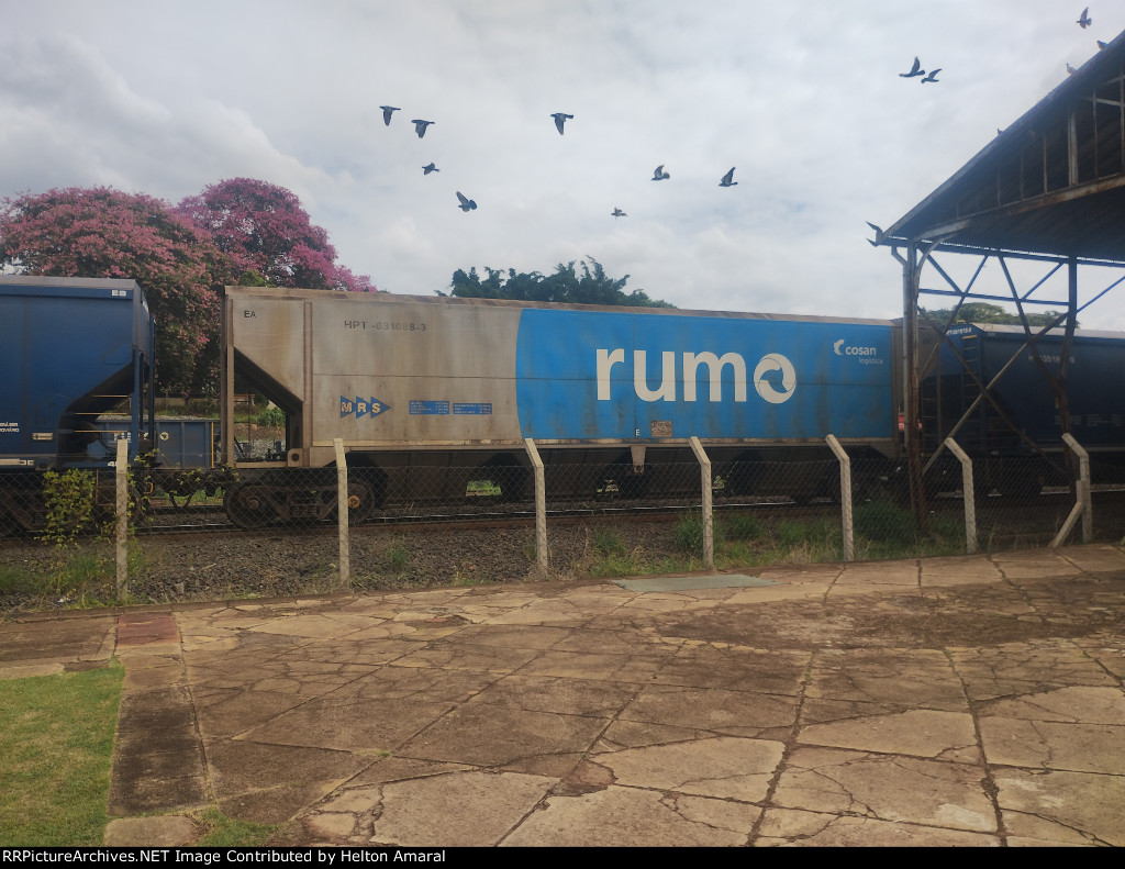 RUMO HPT-031088-3